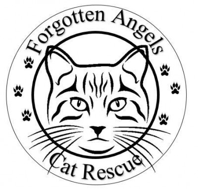 Forgotten Angels Cat Rescue Inc. - Pet Shelter and Rescue in Leona Valley, California