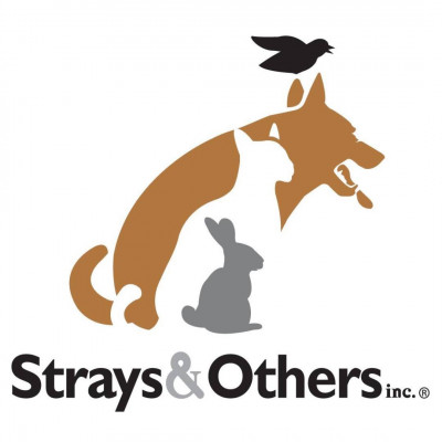 STRAYS AND OTHERS - Pet Shelter and Rescue in New Canaan, Connecticut