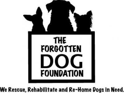 The Forgotten Dog Foundation - Pet Shelter and Rescue in Santa Monica, California
