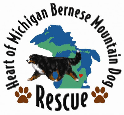 Heart Of Michigan Bernese Mountain Dog Rescue - Pet Shelter and Rescue in Decatur, Michigan