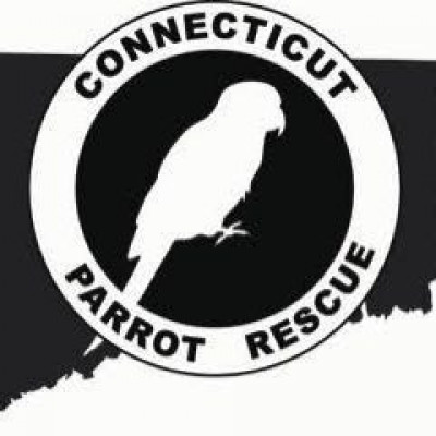 Connecticut Parrot Rescue - Pet Shelter and Rescue in Branford, Connecticut