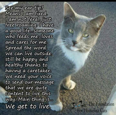 Camp Many Paws - Pet Shelter and Rescue in Naples, Florida