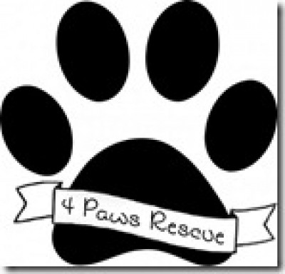 4 Paws Rescue - Pet Shelter and Rescue in Cardwell, Montana