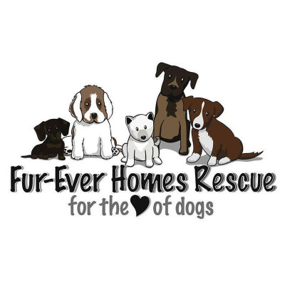 Fur-Ever Homes Rescue Society - Pet Shelter and Rescue in Calgary, Alberta