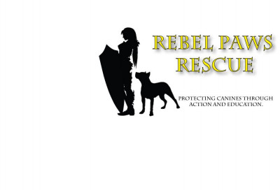 Rebel Paws Rescue - Pet Shelter and Rescue in Albuquerque, New Mexico