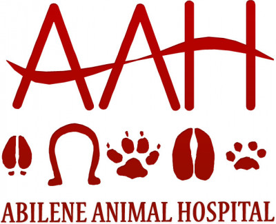 Abilene Animal Hospital - Pet Shelter and Rescue in Abilene, Kansas