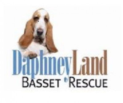 Basset Rescue Network - Pet Shelter and Rescue in Acton, California