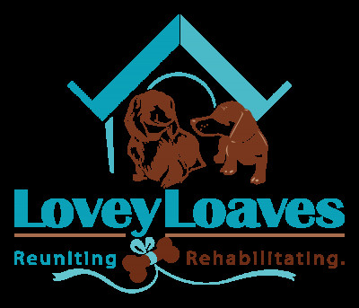 LoveyLoaves Sanctuary - Pet Shelter and Rescue in Alafaya, Florida