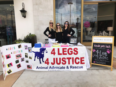 4Legs4Justice Animal Advocate And Rescue - Pet Shelter and Rescue in Anniston, Alabama