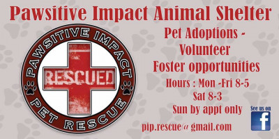 Pawsitive Impact Pet Rescue - Pet Shelter and Rescue in Shorewood, Illinois