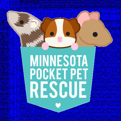 MN Pocket Pet Rescue - Pet Shelter and Rescue in Saint Paul, Minnesota