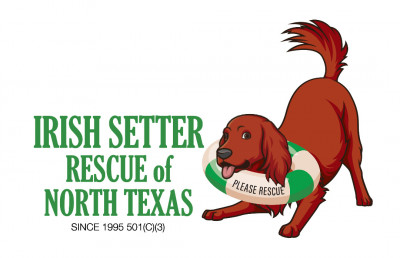 Irish Setter Rescue Of North Texas - Pet Shelter and Rescue in Southlake, Texas