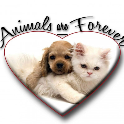 Animals Are Forever, Inc - Pet Shelter and Rescue