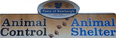Town Of Newburgh Animal Control & Shelter - Pet Shelter and Rescue in Newburgh, New York