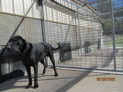 Yates Center Animal Shelter - Pet Shelter and Rescue in Yates Center, Kansas