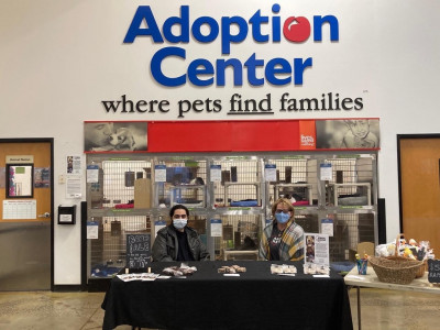 Animal Nation, Inc - Pet Shelter and Rescue in Norwalk, Connecticut