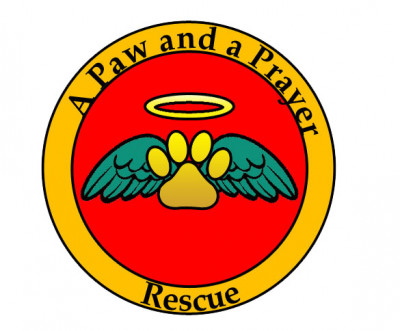 A Paw And A Prayer Rescue - Pet Shelter and Rescue in Chattanooga, Tennessee