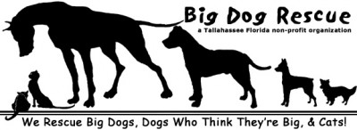 Tallahassee Big Dog Rescue - Pet Shelter and Rescue in Tallahassee, Florida