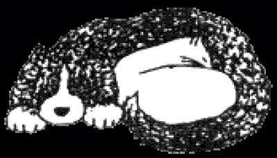 The North Fork Animal Welfare League - Pet Shelter and Rescue in Peconic, New York