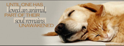 Pawsitive Endings Dog Rescue - Pet Shelter and Rescue in Alliance, Nebraska