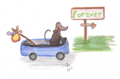 Homeless To Forever Foundation - Monrovia - Pet Shelter and Rescue in Arcadia, California