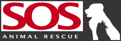 SOS Animal Rescue - Pet Shelter and Rescue in Midland, Michigan