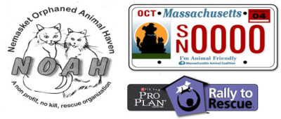Nemasket Orphaned Animal Haven, Inc. - Pet Shelter and Rescue in Raynham, Massachusetts