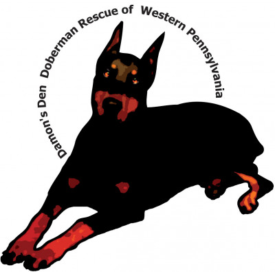 Damons Den Dobe Rescue Of Western PA - Pet Shelter and Rescue in Pittsburgh, Pennsylvania