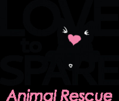 Love To Spare Rescue And Sanctuary - Pet Shelter and Rescue in Bruceville-Eddy, Texas
