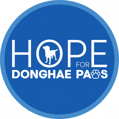 Hope For Donghae Paws(VIRGINIA) - Pet Shelter and Rescue in Springfield, Virginia
