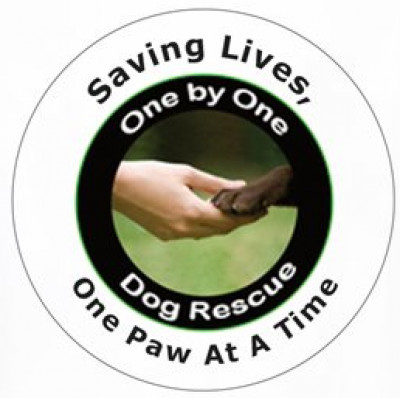 One By One Dog Rescue, Inc. - Pet Shelter and Rescue in Miami, Florida