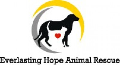 Everlasting Hope Animal Rescue & Advocacy - Pet Shelter and Rescue in Hillsdale, New York