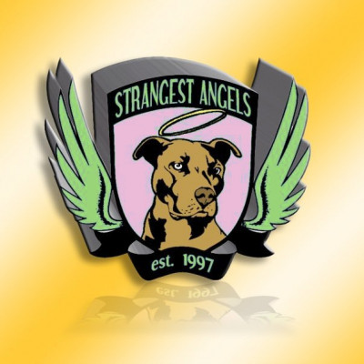 Strangest Angels Animal Rescue - Pet Shelter and Rescue in Los Angeles, California