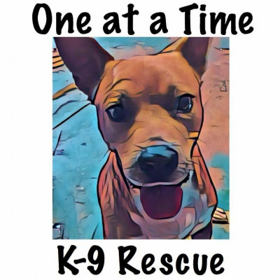 One At A Time K-9 Rescue - Pet Shelter and Rescue in Painesville, Ohio