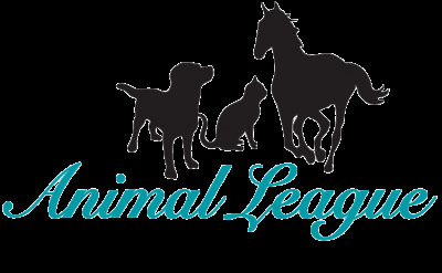 Animal League Of Washington County - Pet Shelter and Rescue in Fayetteville, Arkansas