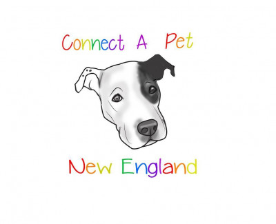 Connect A Pet New England - Pet Shelter and Rescue in Albany, New Hampshire