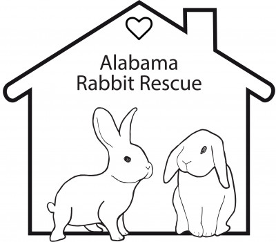 Alabama Rabbit Rescue - Pet Shelter and Rescue in Birmingham, Alabama