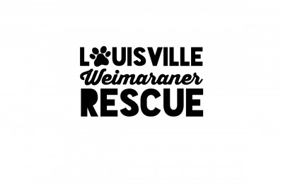 Louisville Weimaraner Rescue, Inc. - Pet Shelter and Rescue