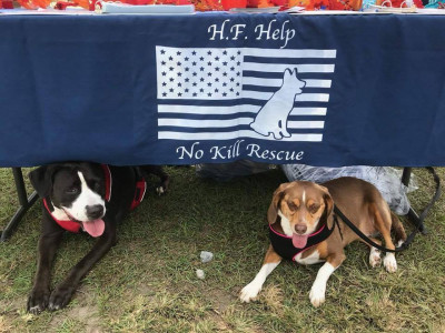 H.F. Help, Inc - Pet Shelter and Rescue in Ladson, South Carolina