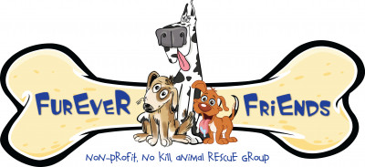 Furever Friends - Pet Shelter and Rescue in Walworth, New York