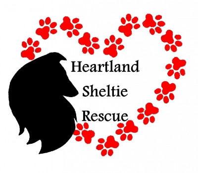 Heartland Sheltie Rescue - Pet Shelter and Rescue in New Albany, Indiana