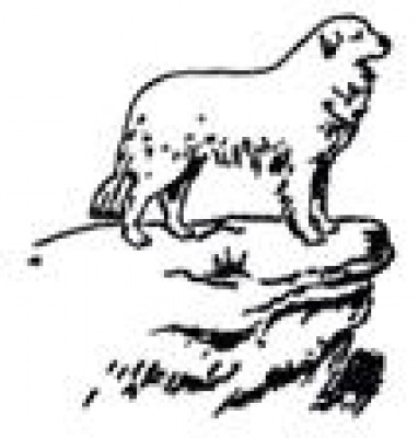 Great Pyrenees Rescue Of Southern Ontario - Pet Shelter and Rescue in Erin, Ontario