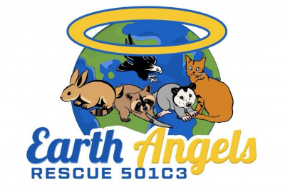 Earth Angels Companion Rescue - Pet Shelter and Rescue in Melville, New York