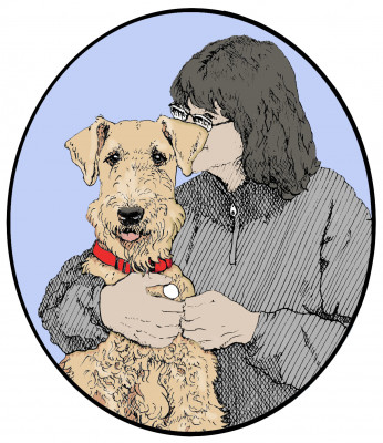 Starting Over Airedale Rescue, Inc. - Pet Shelter and Rescue in Howell, Michigan