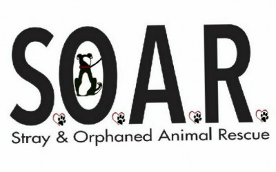 SOAR-Stray And Orphaned Animal Rescue - Pet Shelter and Rescue in St. Peters, Missouri