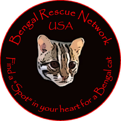 Bengal Rescue Network (501c3) - Pet Shelter and Rescue in Baltimore, Maryland