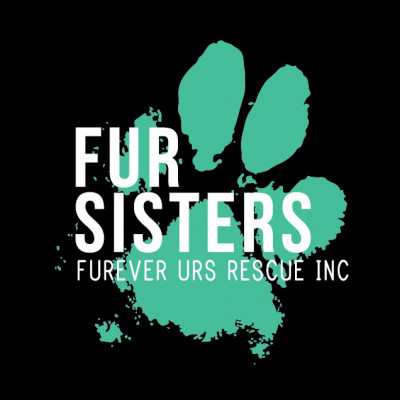 Fur Sisters - Furever Urs Rescue - Pet Shelter and Rescue in Jacksonville, Florida