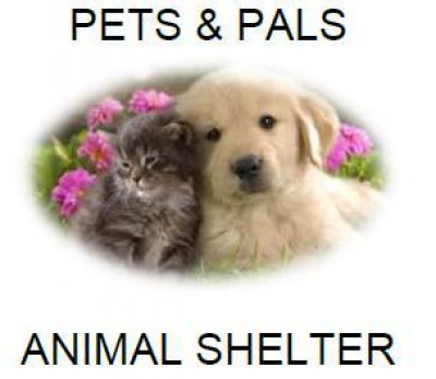 Pets And Pals - Pet Shelter and Rescue in Lathrop, California