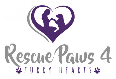 Rescue Paws 4 Furry Hearts, Inc - Pet Shelter and Rescue in Hollywood, Florida
