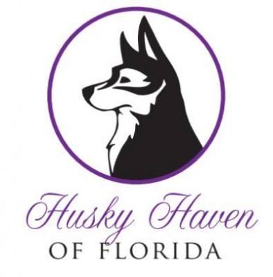 Husky Haven Of Florida - Pet Shelter and Rescue in Casselberry, Florida